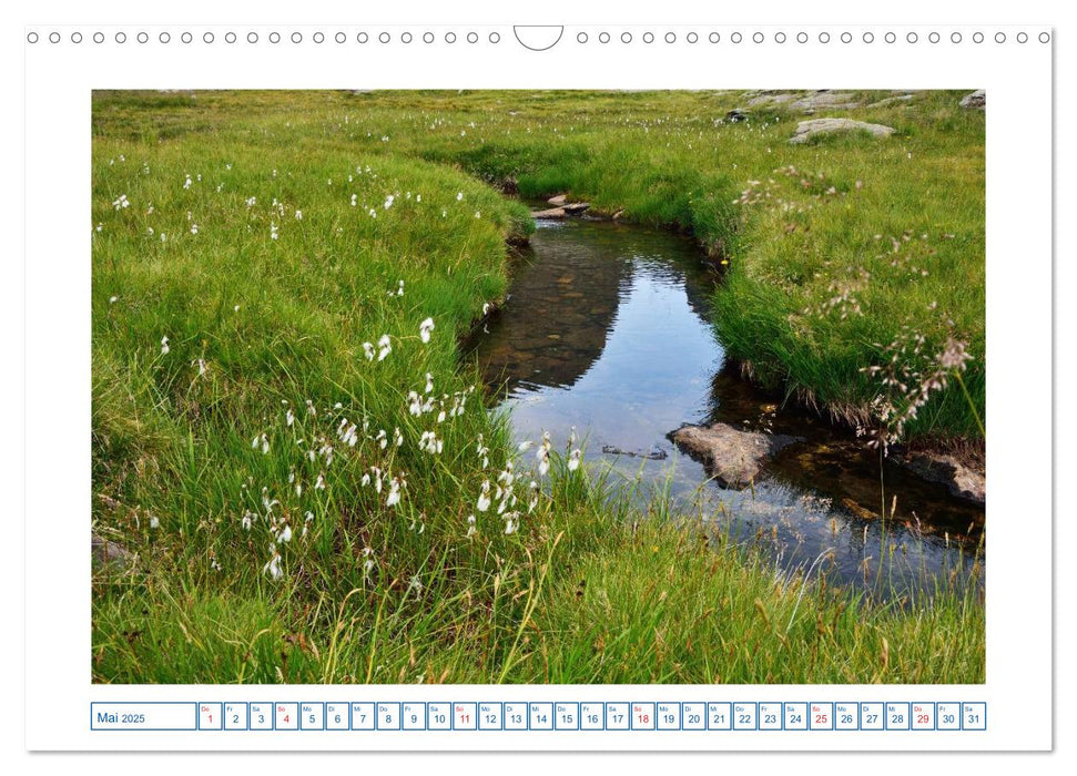 Wandergebiet Südtirol (CALVENDO Wandkalender 2025)