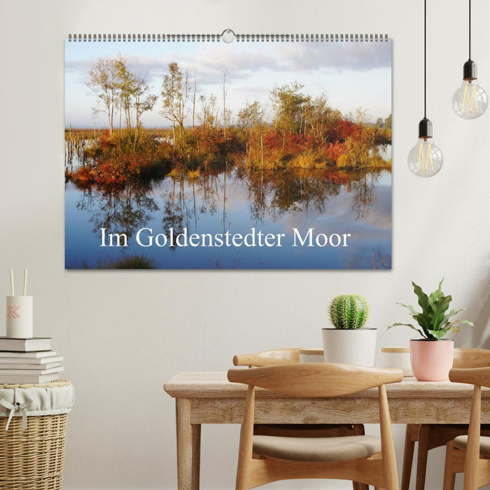 Im Goldenstedter Moor (CALVENDO Wandkalender 2025)