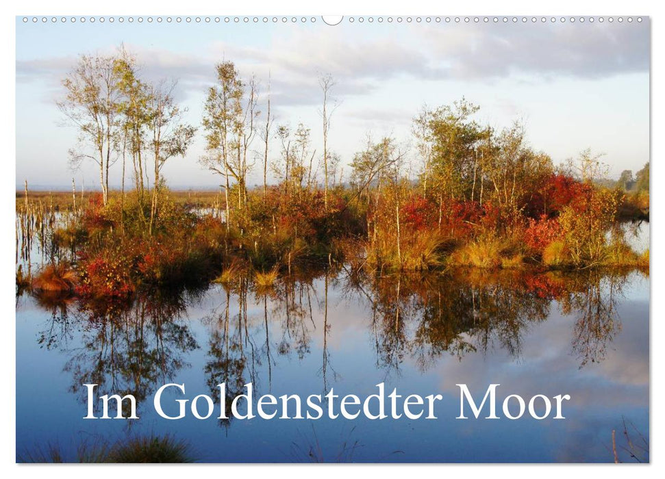 Im Goldenstedter Moor (CALVENDO Wandkalender 2025)