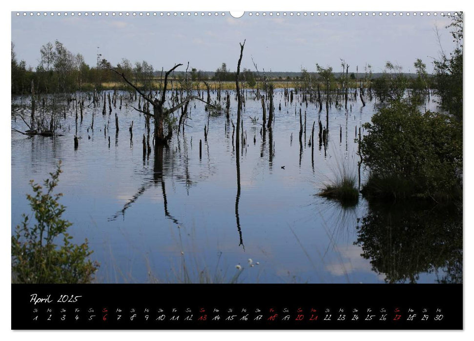 Im Goldenstedter Moor (CALVENDO Wandkalender 2025)