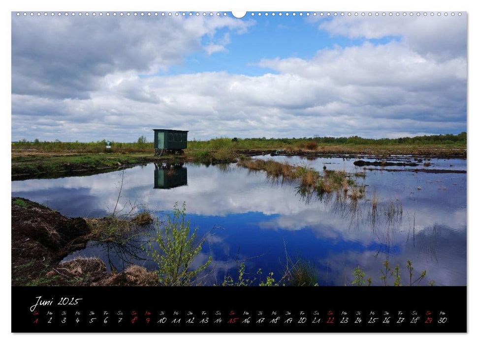 Im Goldenstedter Moor (CALVENDO Wandkalender 2025)