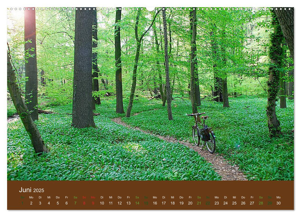 Mit dem Fahrrad durch 2025 (CALVENDO Wandkalender 2025)