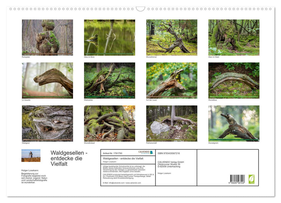 Waldgesellen - entdecke die Vielfalt (CALVENDO Wandkalender 2025)