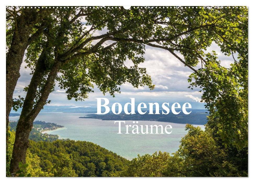 Bodensee Träume (CALVENDO Wandkalender 2025)