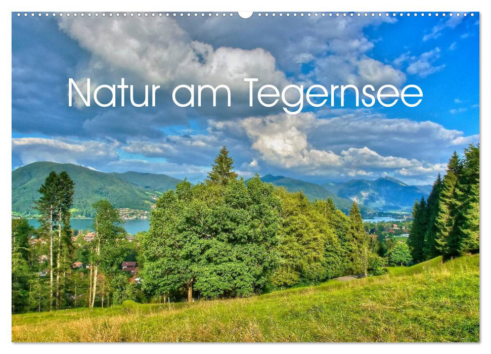 Natur am Tegernsee (CALVENDO Wandkalender 2025)