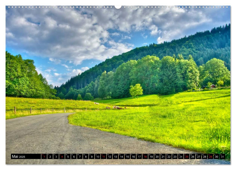 Natur am Tegernsee (CALVENDO Wandkalender 2025)