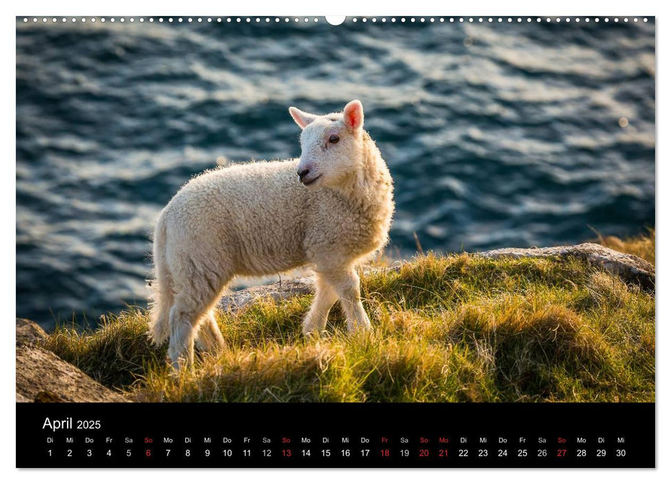 Schottland - Die wundervolle Isle of Skye (CALVENDO Wandkalender 2025)