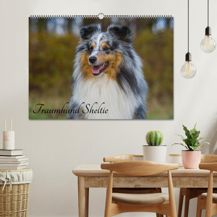 Traumhund Sheltie (CALVENDO Wandkalender 2025)