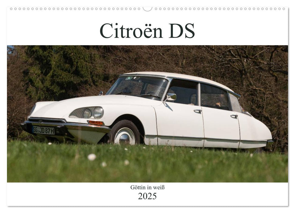 Citroën DS - Göttin in weiß (CALVENDO Wandkalender 2025)