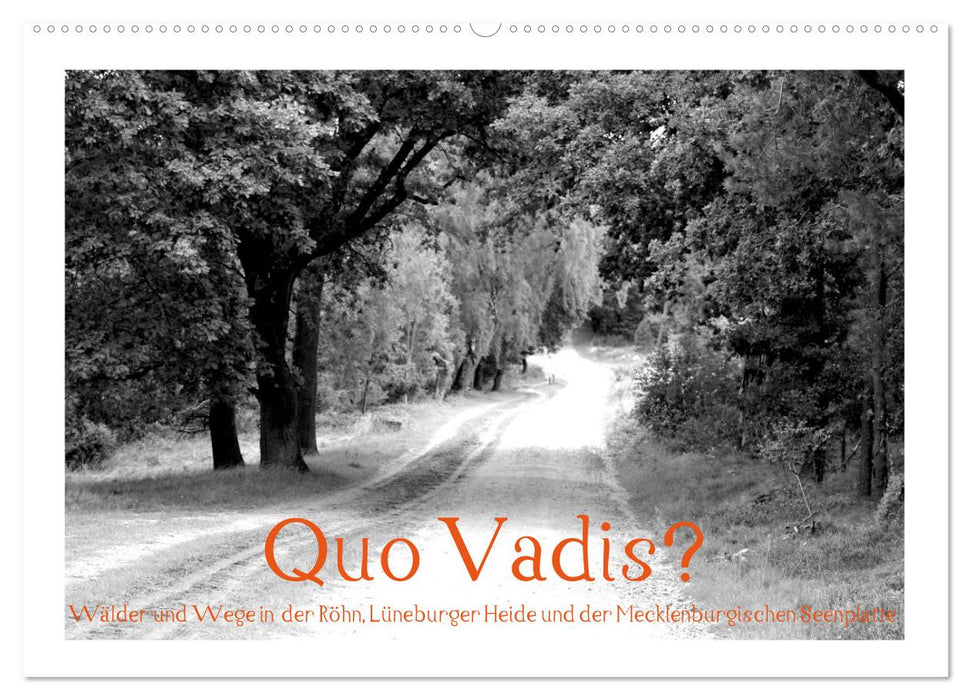 Quo Vadis? Wälder und Wege in der Röhn, Lüneburger Heide und der Mecklenburgischen Seenplatte (CALVENDO Wandkalender 2025)