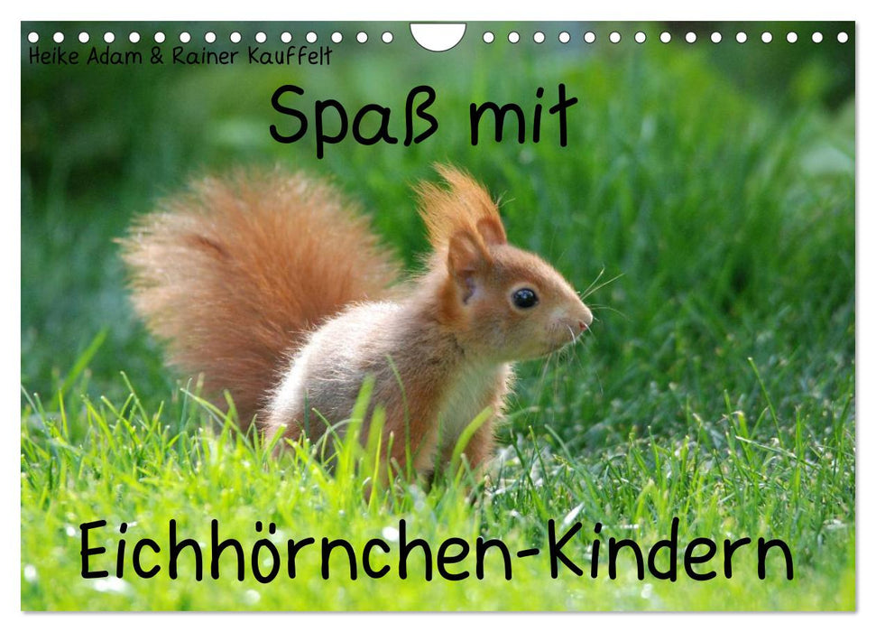 Spaß mit Eichhörnchen-Kindern (CALVENDO Wandkalender 2025)