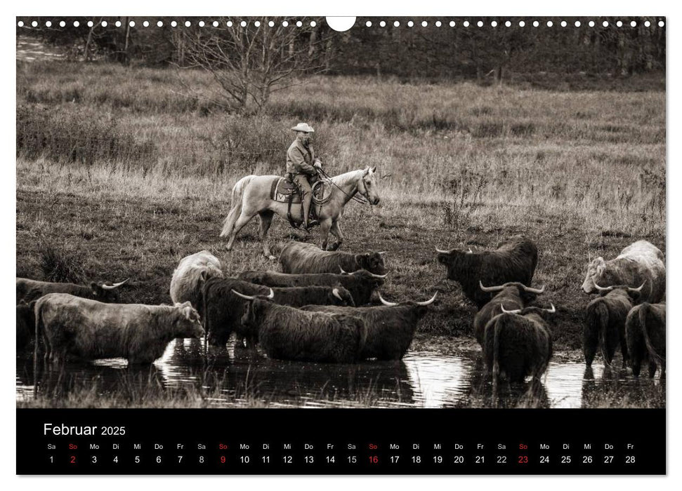 Westernreiten (CALVENDO Wandkalender 2025)