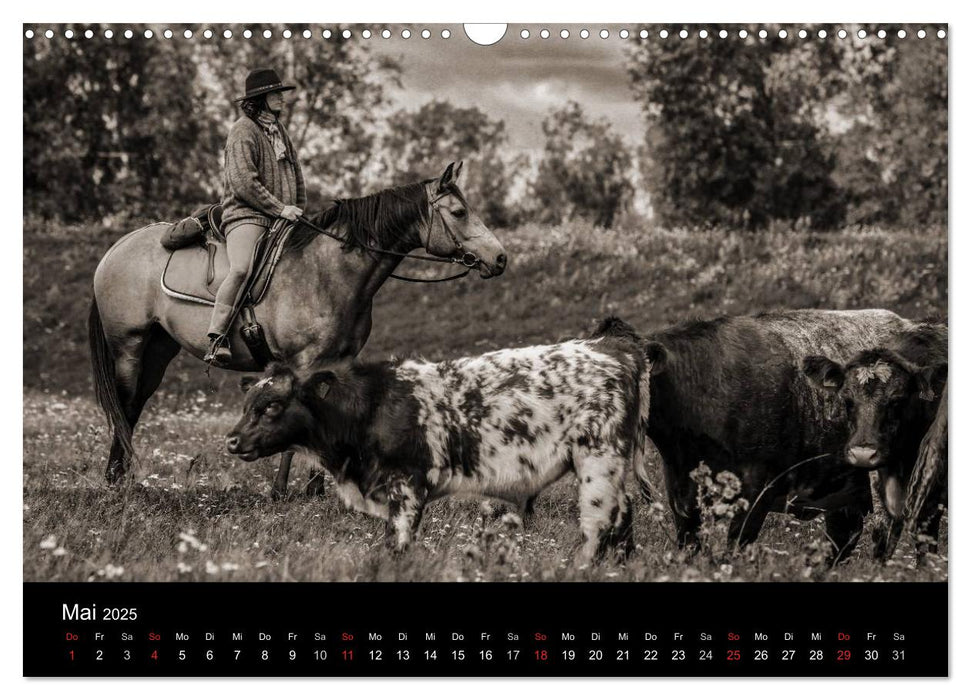 Westernreiten (CALVENDO Wandkalender 2025)