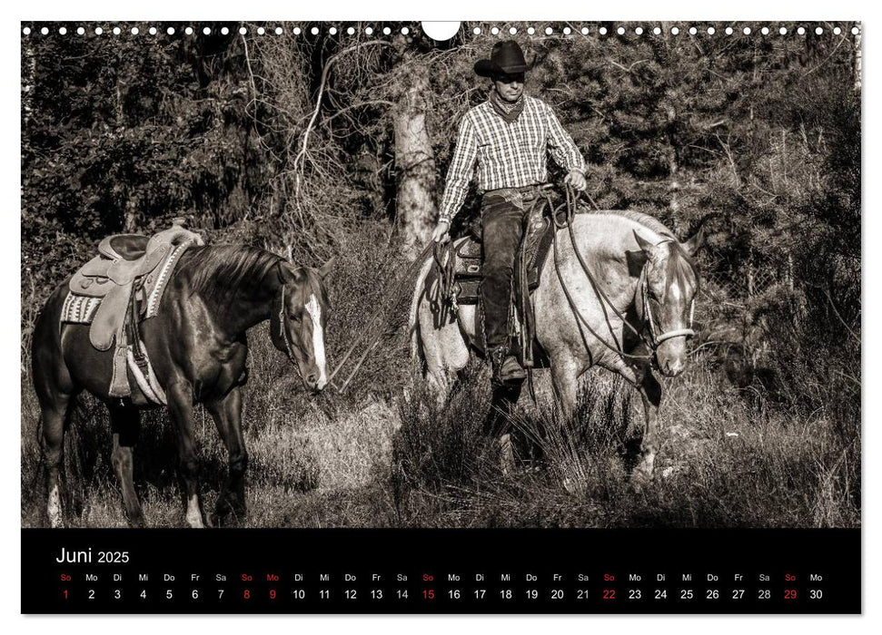 Westernreiten (CALVENDO Wandkalender 2025)