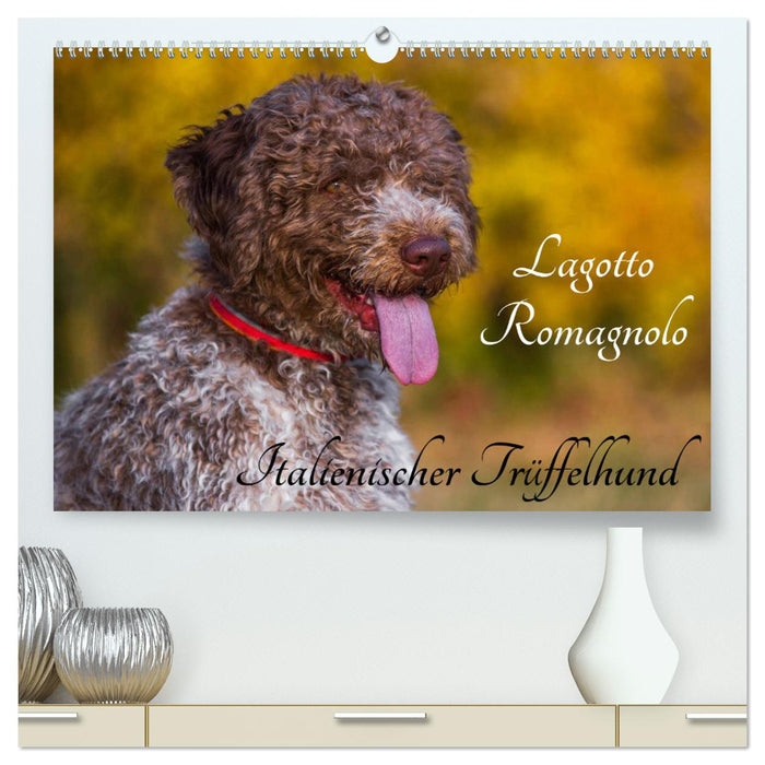 Lagotto Romagnolo - Italienischer Trüffelhund (CALVENDO Premium Wandkalender 2025)