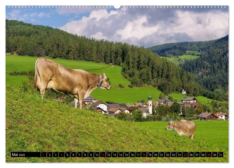 Pustertal - Das grüne Tal Südtirols (CALVENDO Wandkalender 2025)