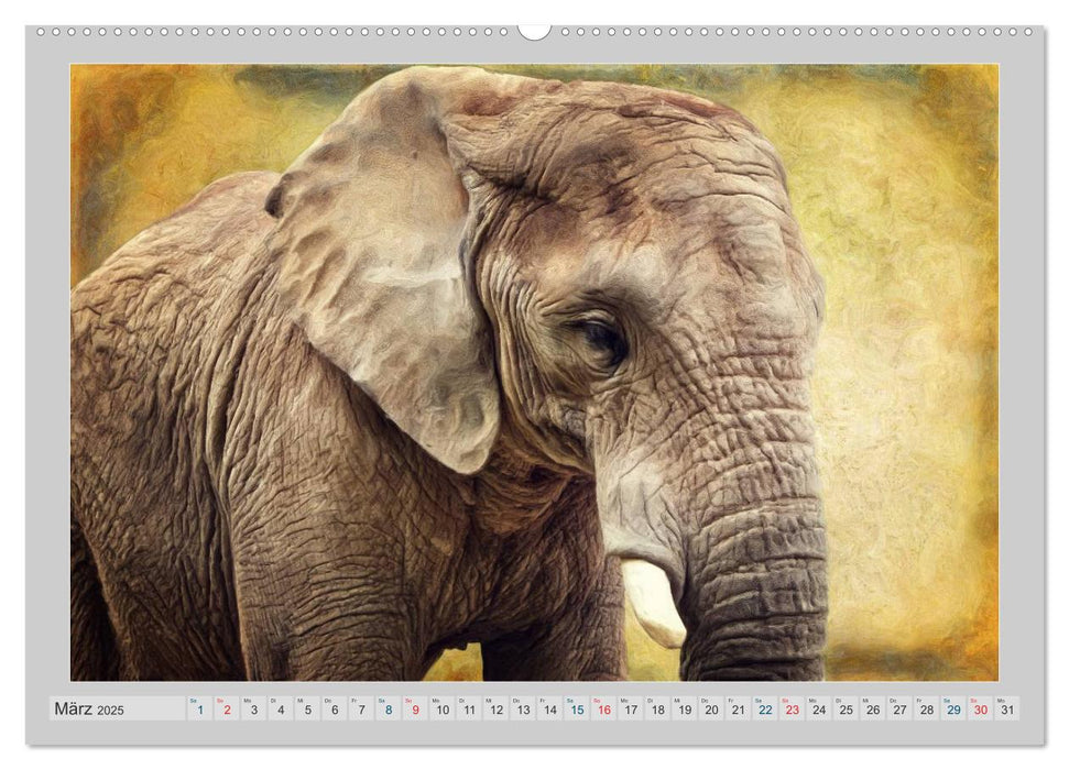 Elefanten - Portraits der besonderen Art (CALVENDO Wandkalender 2025)