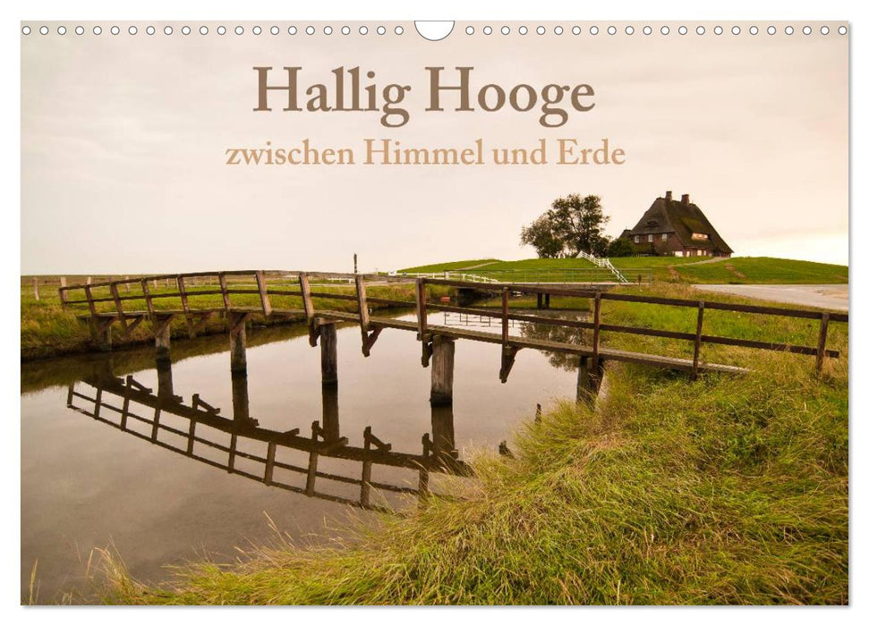 Hallig Hooge - zwischen Himmel und Erde (CALVENDO Wandkalender 2025)