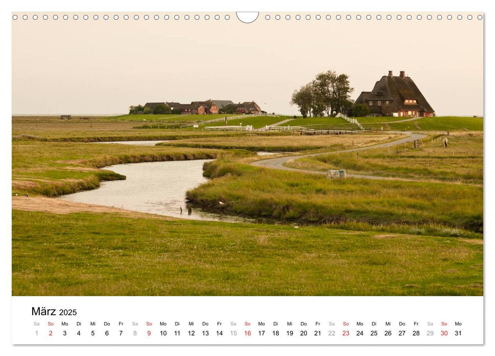 Hallig Hooge - zwischen Himmel und Erde (CALVENDO Wandkalender 2025)