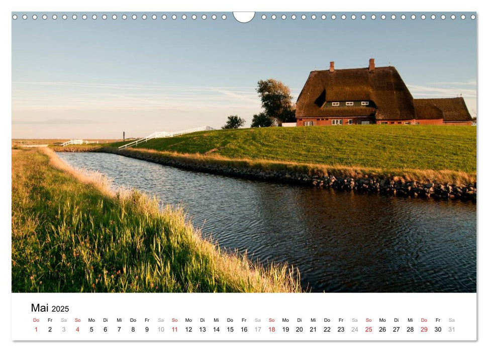 Hallig Hooge - zwischen Himmel und Erde (CALVENDO Wandkalender 2025)