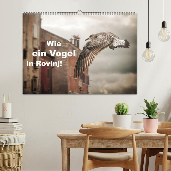 Wie ein Vogel in Rovinj! (CALVENDO Wandkalender 2025)