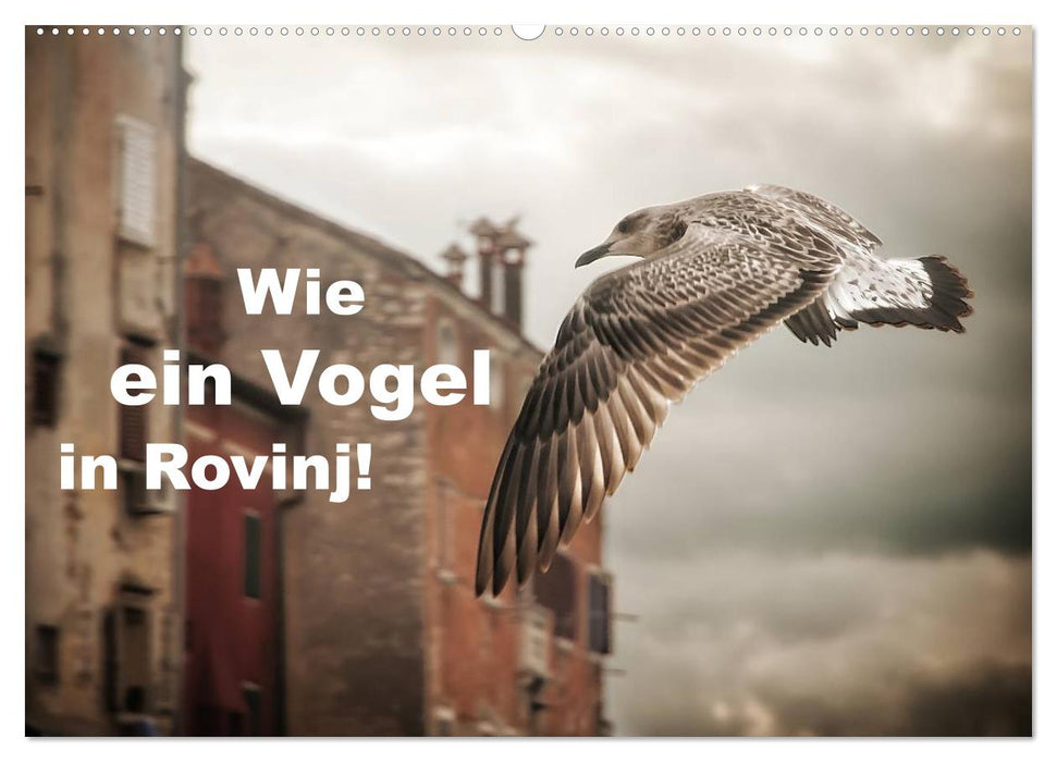 Wie ein Vogel in Rovinj! (CALVENDO Wandkalender 2025)