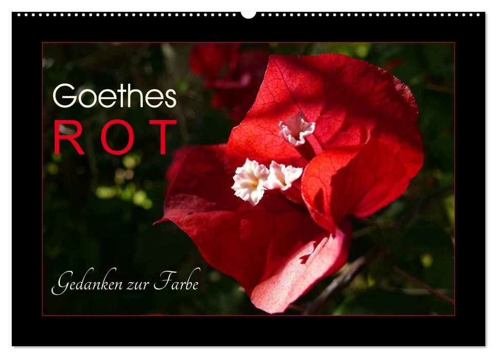 Goethes Rot. Gedanken zur Farbe (CALVENDO Wandkalender 2025)