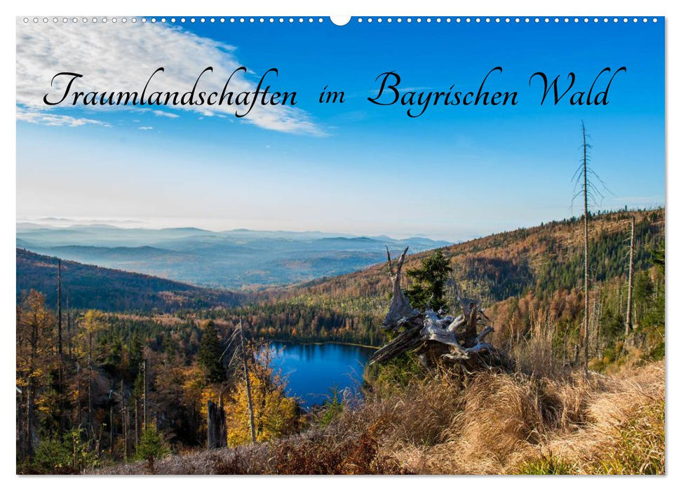 Traumlandschaften im Bayrischen Wald (CALVENDO Wandkalender 2025)