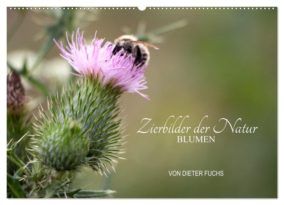 Zierbilder der Natur BLUMEN (CALVENDO Wandkalender 2025)