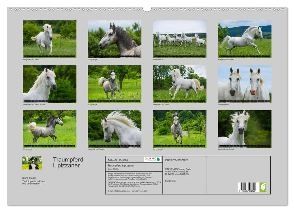 Traumpferd Lipizzaner (CALVENDO Wandkalender 2025)