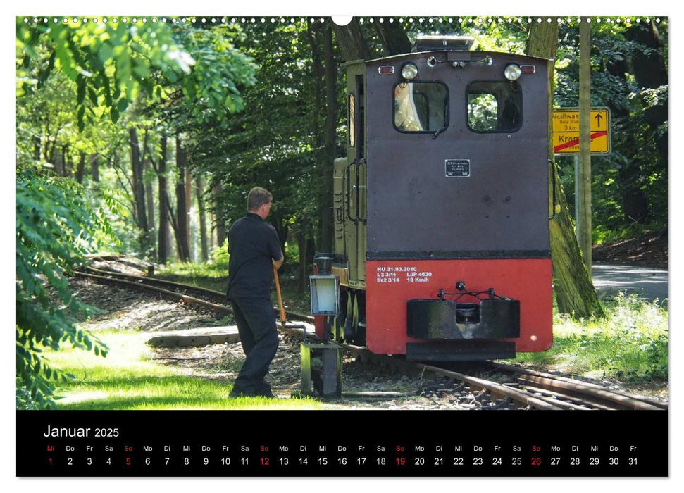 Waldeisenbahn Bad Muskau (CALVENDO Premium Wandkalender 2025)