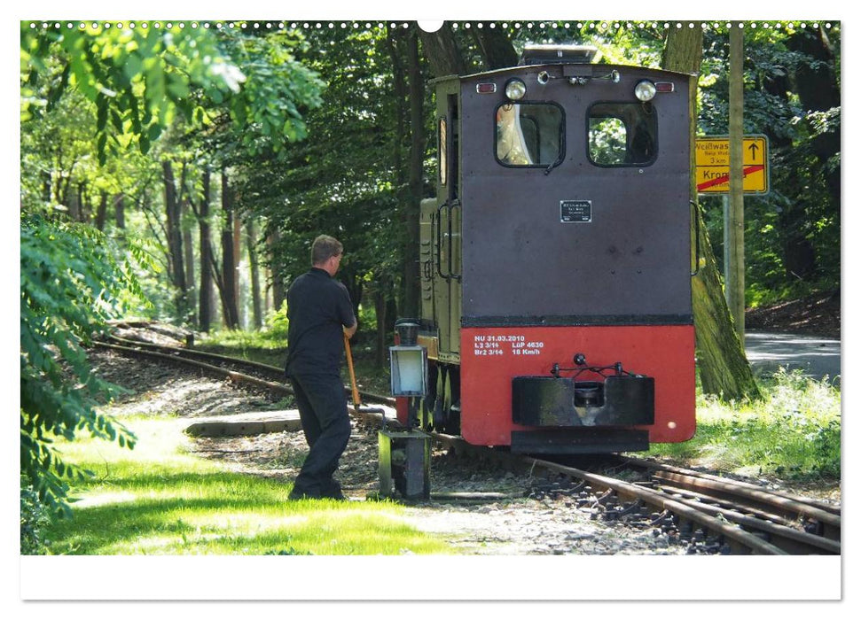 Waldeisenbahn Bad Muskau (CALVENDO Wandkalender 2025)