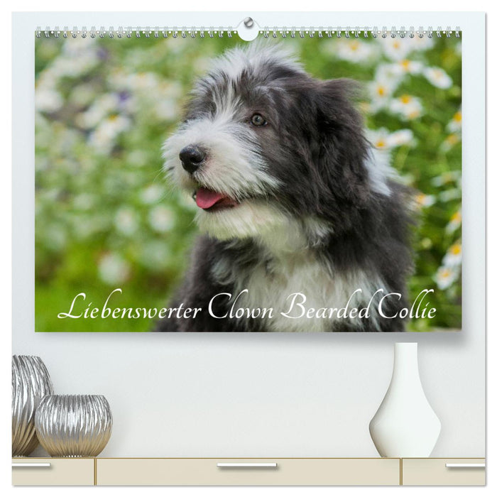 Liebenswerter Clown Bearded Collie (CALVENDO Premium Wandkalender 2025)