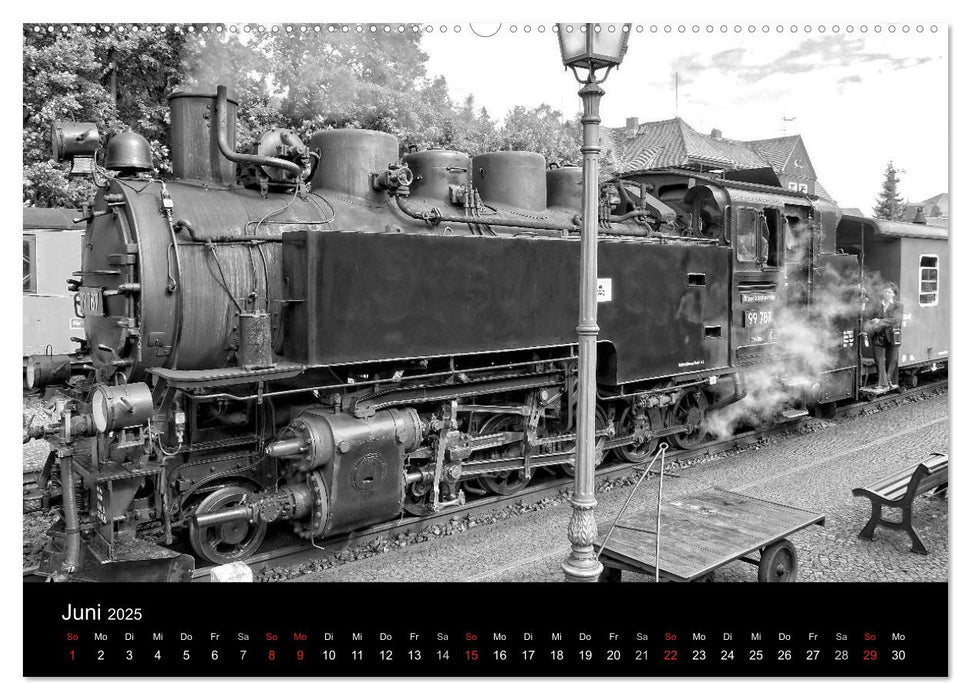 Ein Jahr mit der Schmalspurbahn aus Zittau (CALVENDO Wandkalender 2025)