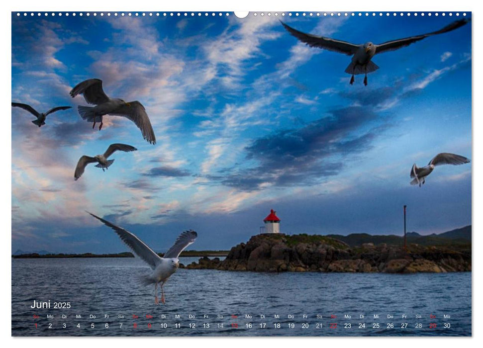 Vesterålen - Inseln des Lichts (CALVENDO Premium Wandkalender 2025)