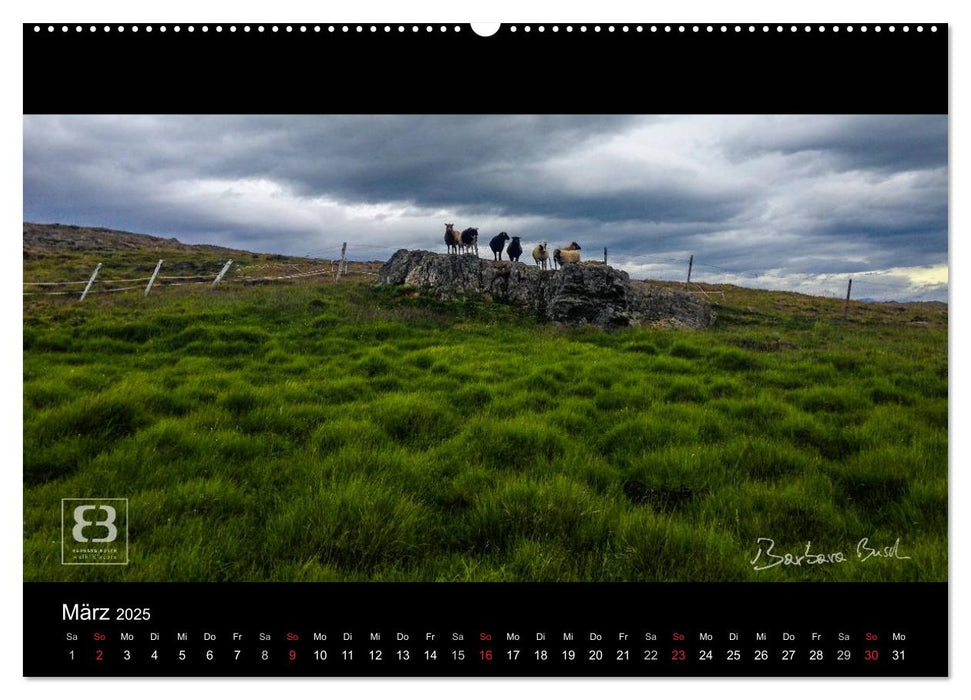 Paradiese der Erde - ISLAND (CALVENDO Premium Wandkalender 2025)