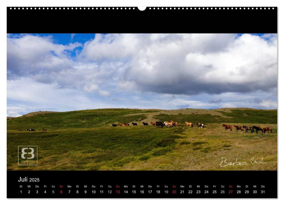 Paradiese der Erde - ISLAND (CALVENDO Premium Wandkalender 2025)