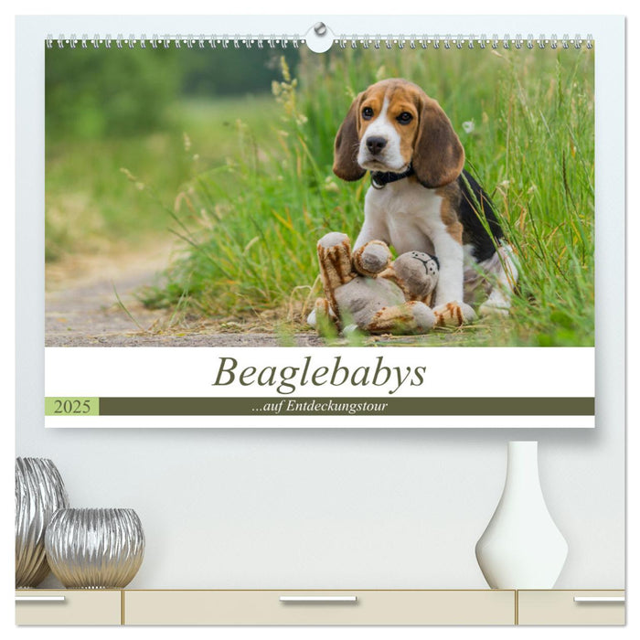 Beaglebabys auf Entdeckungstour (CALVENDO Premium Wandkalender 2025)