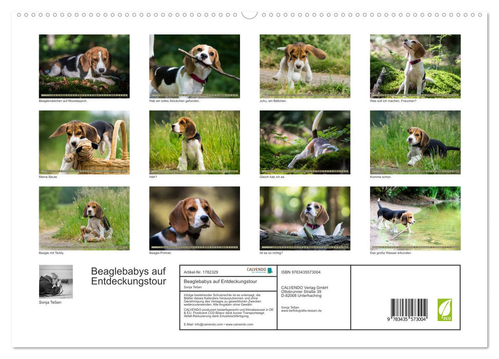 Beaglebabys auf Entdeckungstour (CALVENDO Premium Wandkalender 2025)