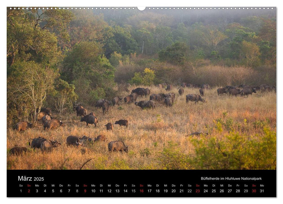 Wunderschönes Südafrika (CALVENDO Wandkalender 2025)