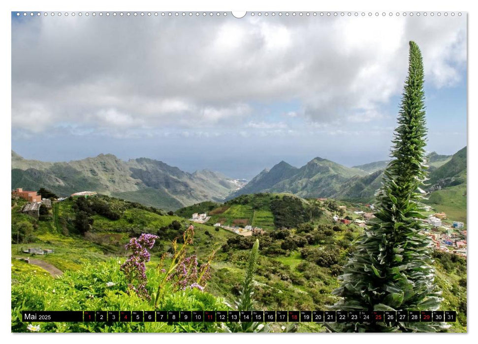 Teneriffas rauer Norden (CALVENDO Premium Wandkalender 2025)