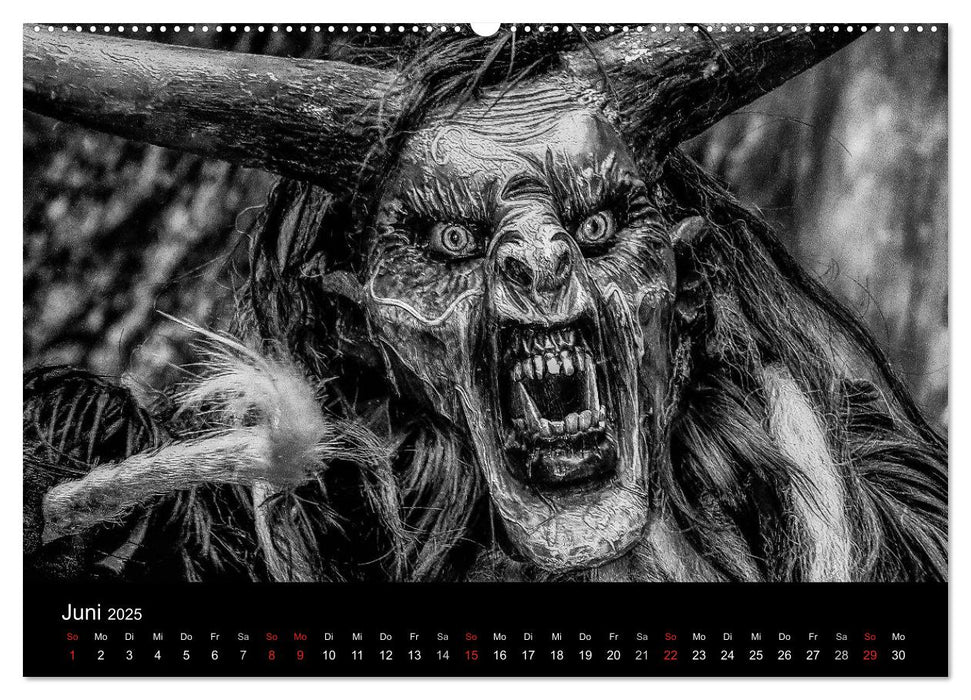 Perchten und Krampusse im Voralpenland (CALVENDO Premium Wandkalender 2025)