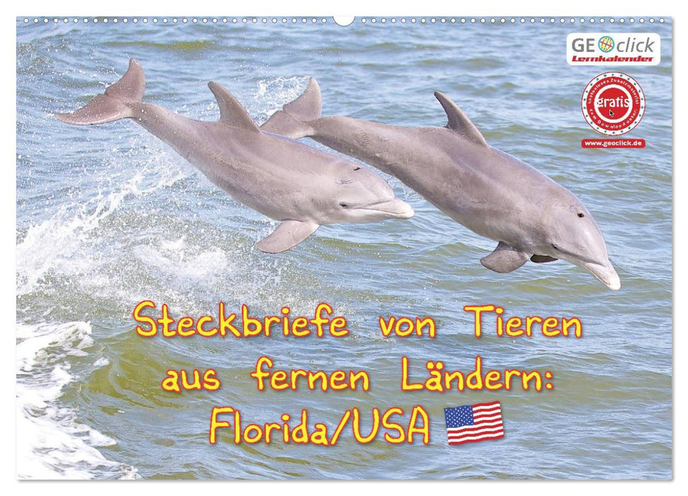 GEOclick Lernkalender: Steckbriefe von Tieren aus fernen Ländern: Florida/USA (CALVENDO Wandkalender 2025)