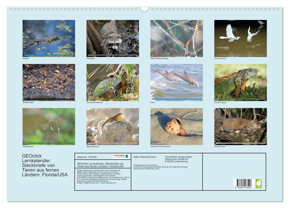 GEOclick Lernkalender: Steckbriefe von Tieren aus fernen Ländern: Florida/USA (CALVENDO Wandkalender 2025)