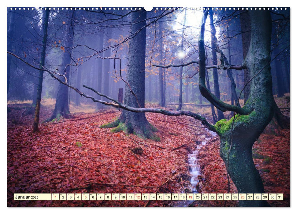 Mystische Wälder - Zauber der Natur (CALVENDO Premium Wandkalender 2025)