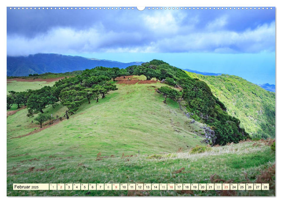 Mystische Wälder - Zauber der Natur (CALVENDO Premium Wandkalender 2025)