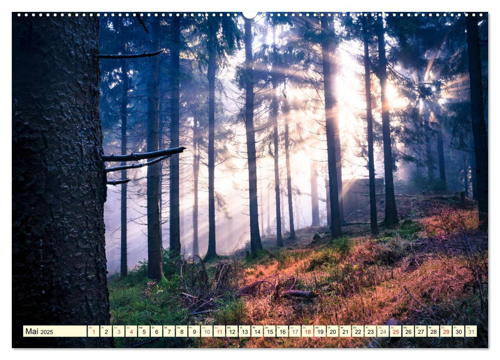 Mystische Wälder - Zauber der Natur (CALVENDO Premium Wandkalender 2025)