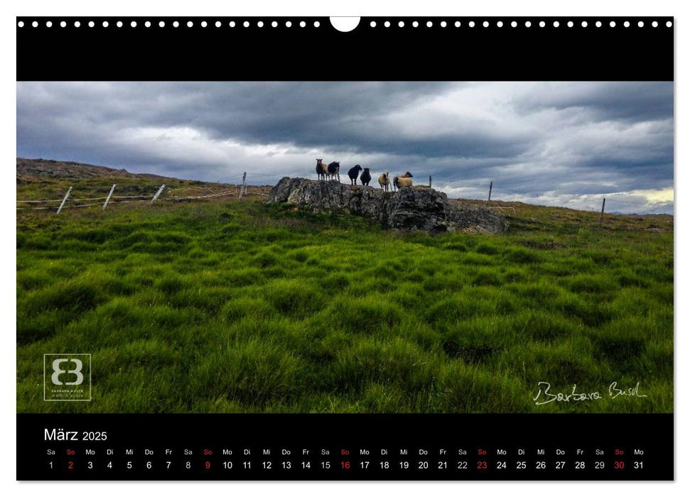 Paradiese der Erde - ISLAND (CALVENDO Wandkalender 2025)