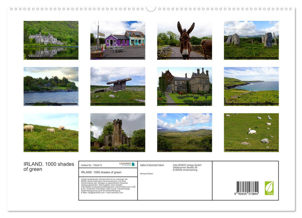 IRLAND. 1000 shades of green (CALVENDO Premium Wandkalender 2025)