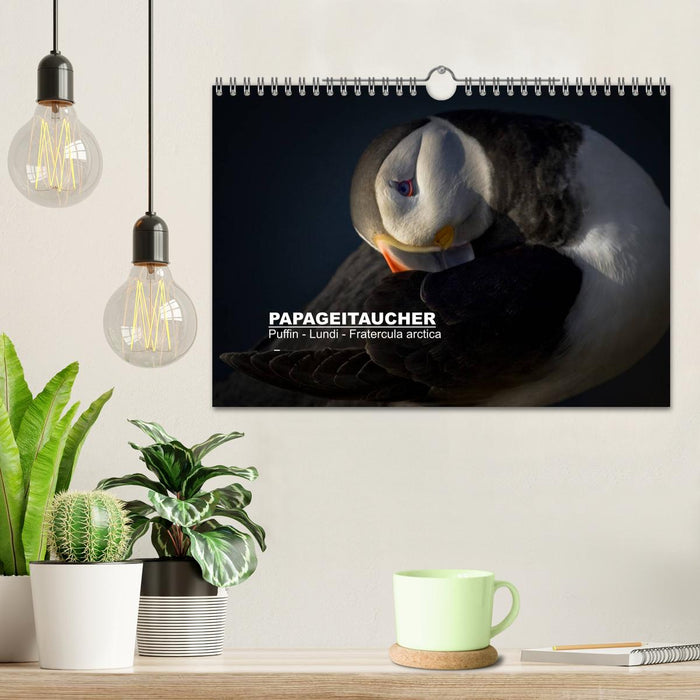 Papageitaucher: Puffin - Lundi - Fratercula arctica (CALVENDO Wandkalender 2025)